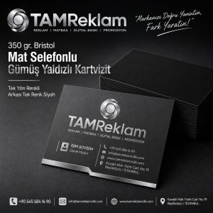 Gümüş Yaldızlı Kartvizit